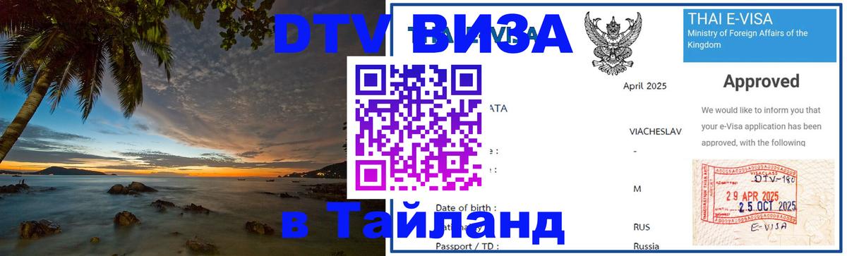 Оформление DTV визы под ключ: стоимость и тарифы, только загранпаспорт - 22.11.2025 